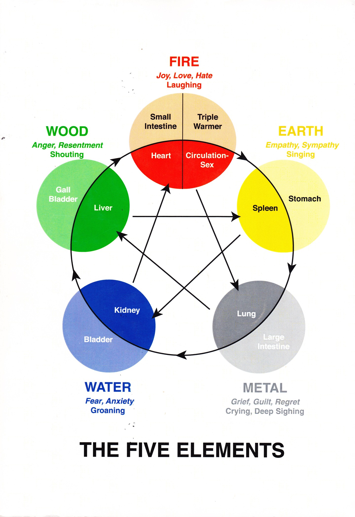 Five elements relationship | Tea & Herbs Nanaimo